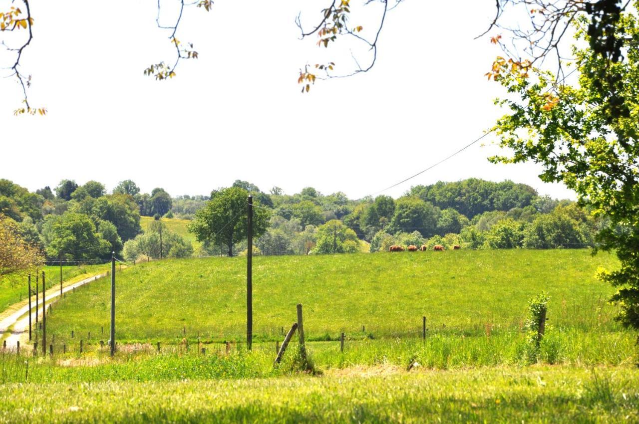 Domaine Du Castellare Acomodação com café da manhã Le Chalard Exterior foto